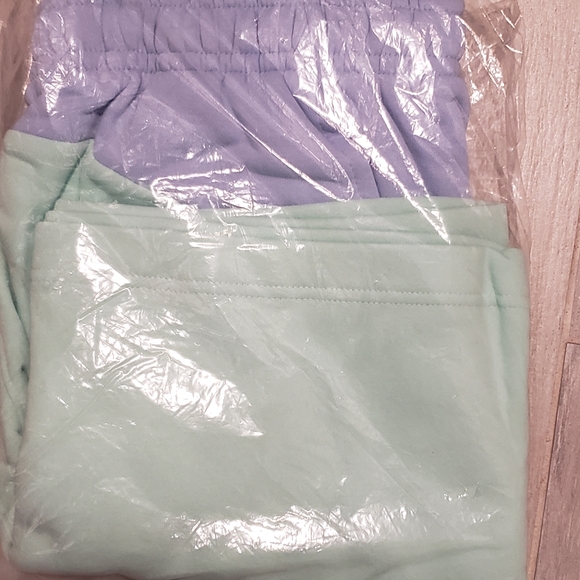 Light Mint and Lavender Nike Shorts - Picture 2 of 4